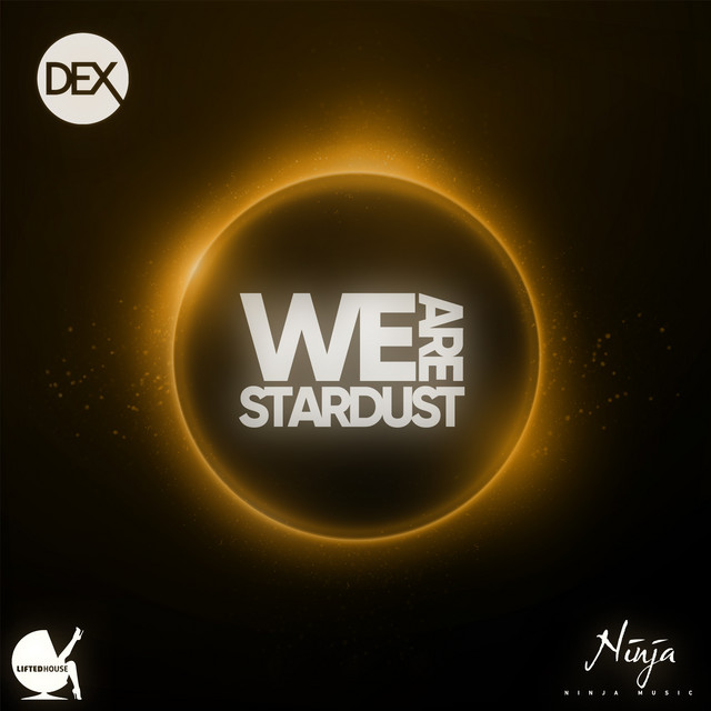 We Are Stardust cover art
