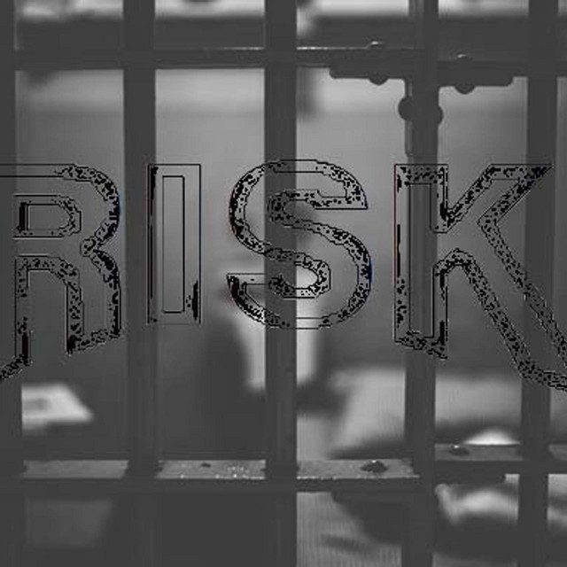 Risk Vol 1 cover art