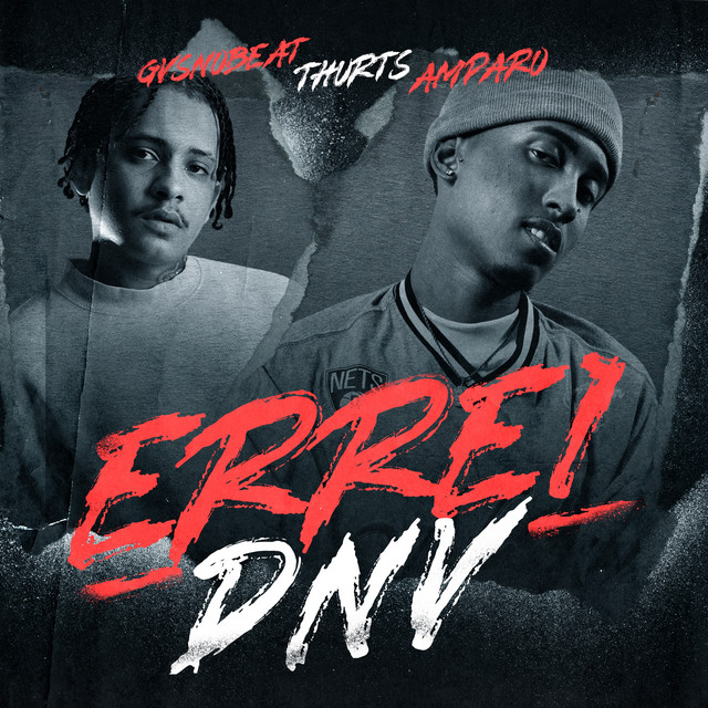 Errei Dnv