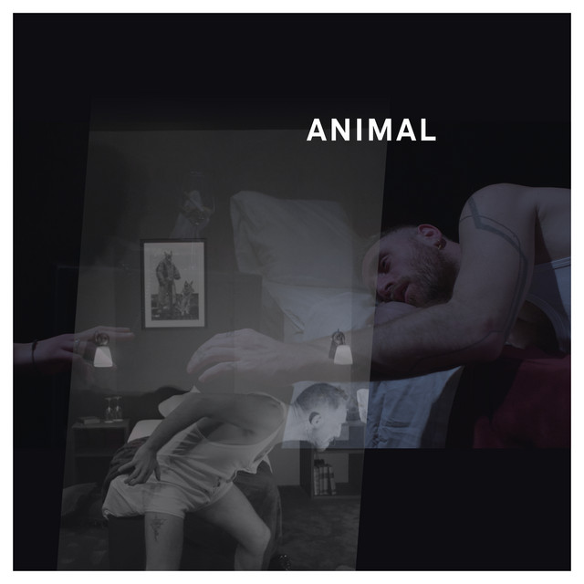 Animal - Radio Version
