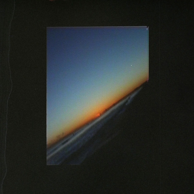 Lacewing cover art