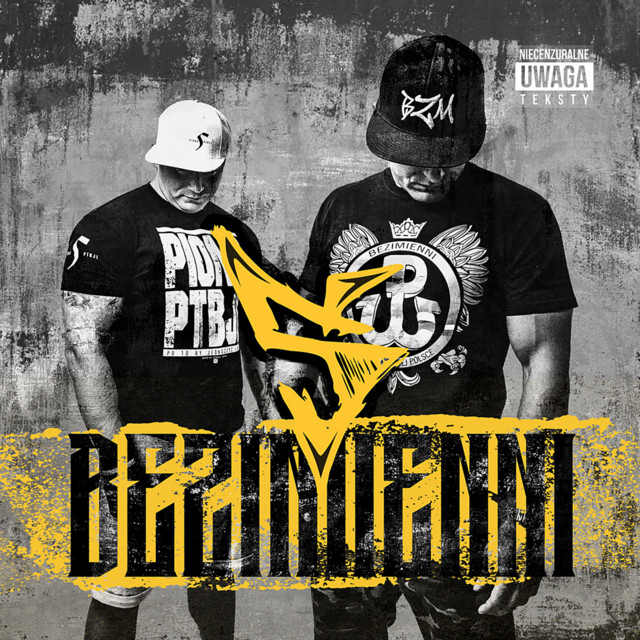 5 cover art