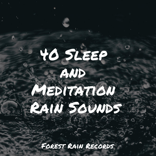 40 Sleep and Meditation Rain Sounds - Album by Rain Sounds Nature ...