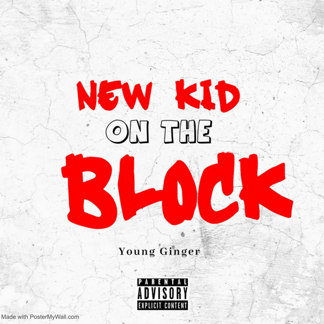 New Kid on the Block cover art