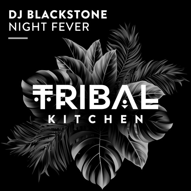 Night Fever - Extended Mix album art