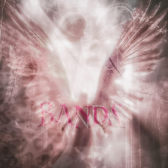 Garden of Bands album image