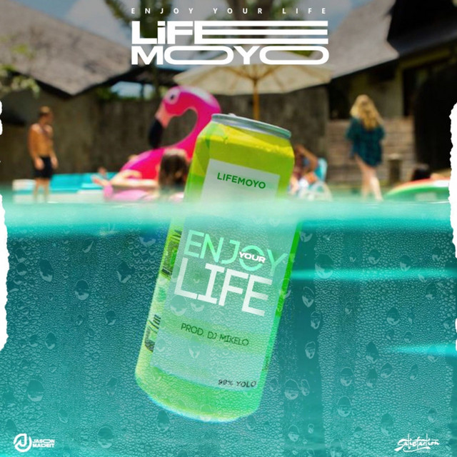 Enjoy Your Life Song – Romy Enjoy Your Life – GTDPN