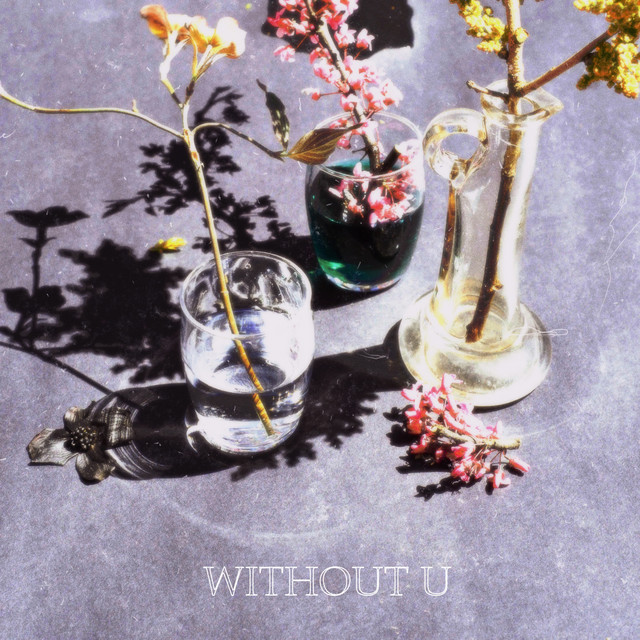 Without u cover art