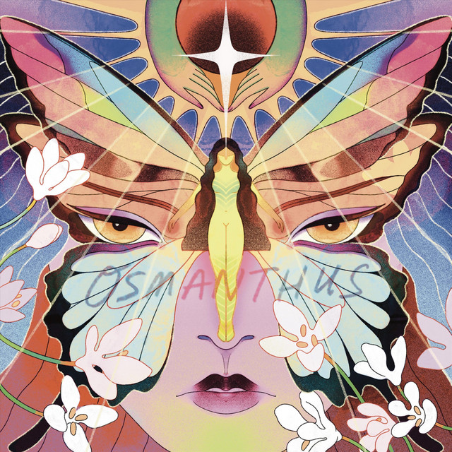 Diamond Tragedy cover art
