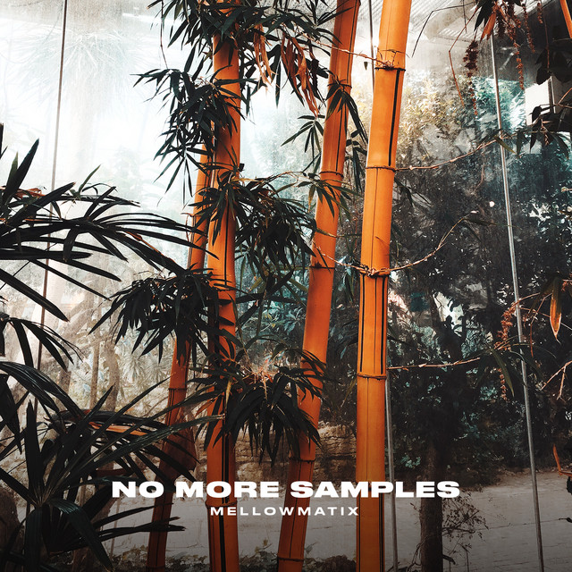No More Samples cover art