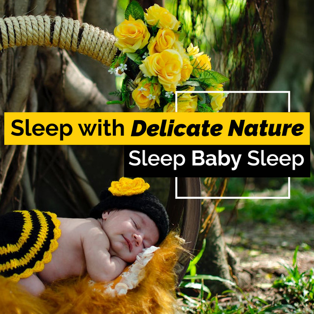 Sleep with Delicate Nature cover art