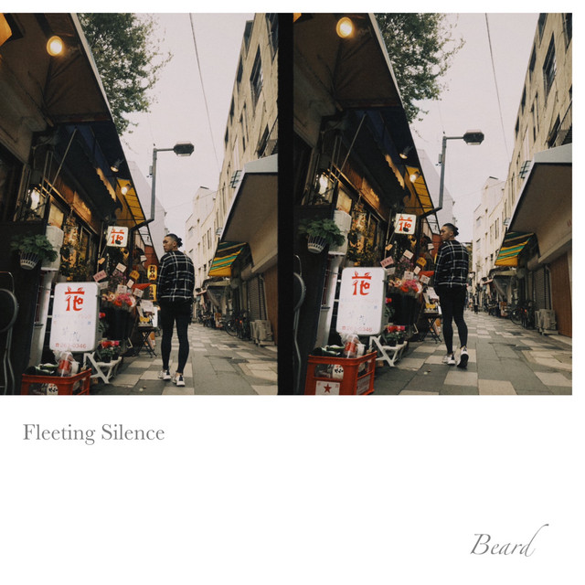 Fleeting Silence cover art