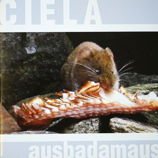 Ausbadamaus cover art
