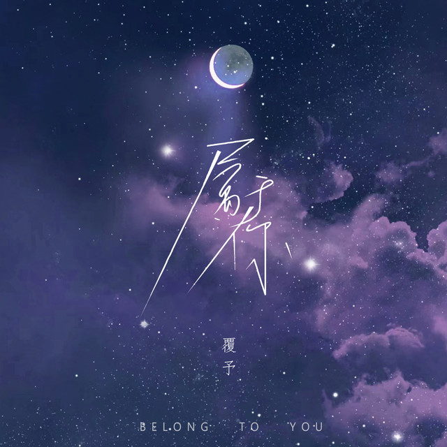 属于你 (女版DJ) cover art