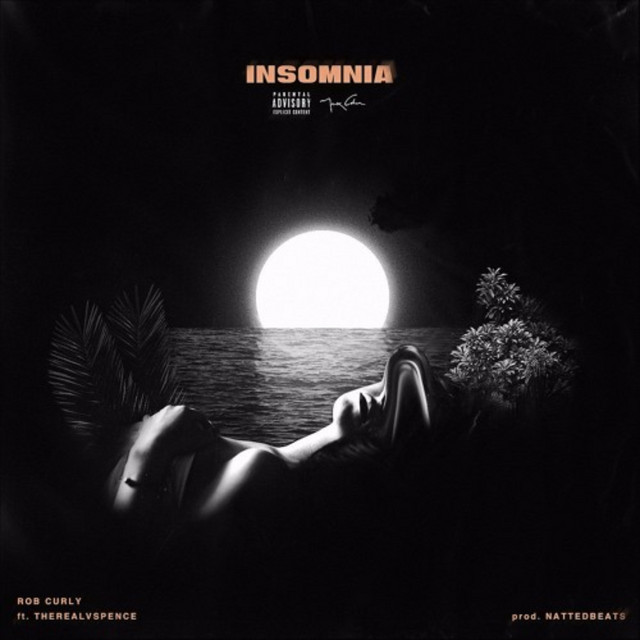Insomnia cover