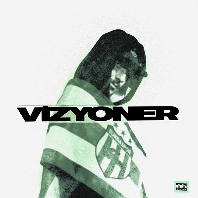 Vizyoner cover art