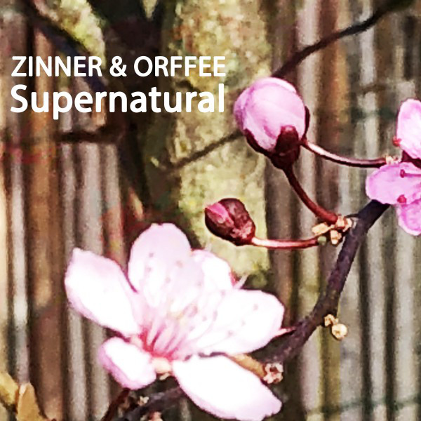 Supernatural cover art