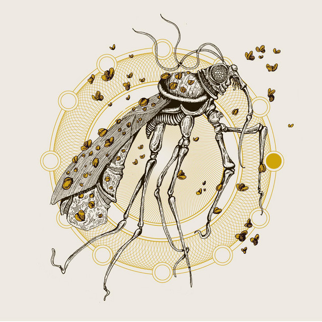 Fungal Abyss Photo