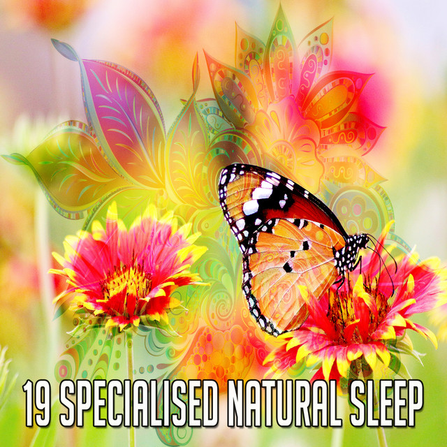 19 Specialised Natural Sleep - Album by Nature Sounds | Spotify