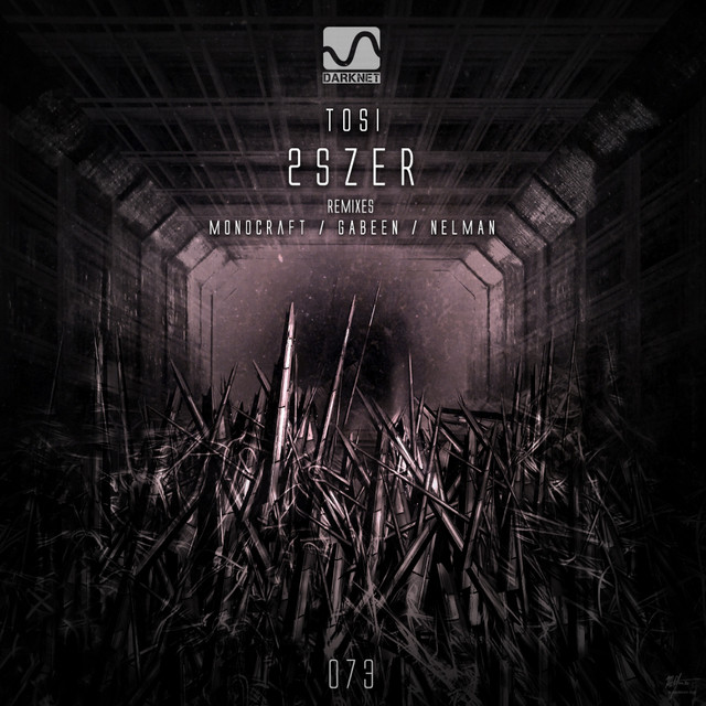 2szer cover art
