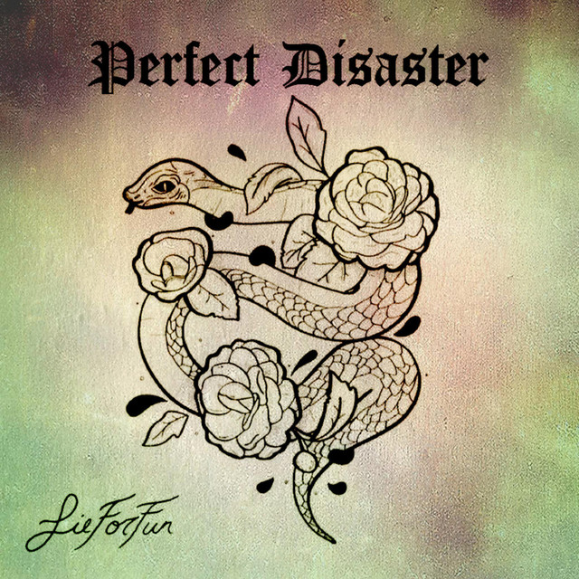 Perfect Disaster - Album by Lie for Fun | Spotify