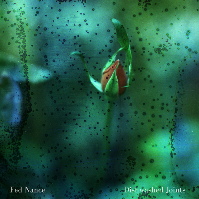 Dishwashed Joints cover art