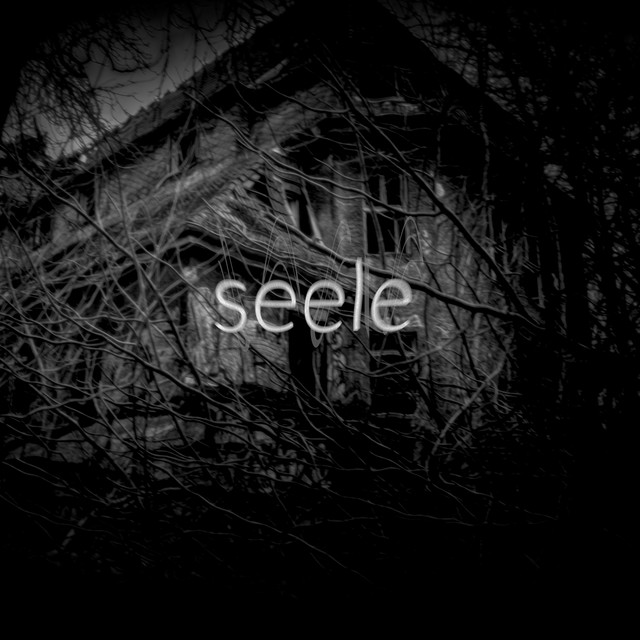 Seele cover