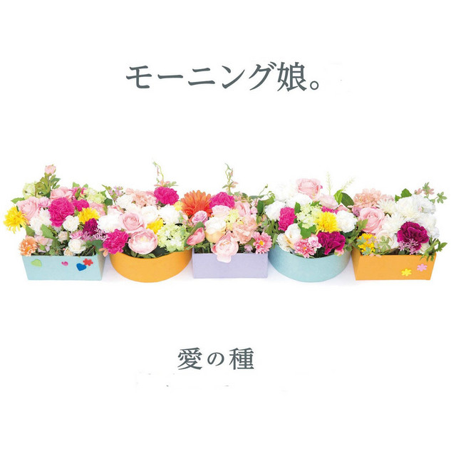 愛の種 ‑ 曲・歌詞：モーニング娘。 | Spotify