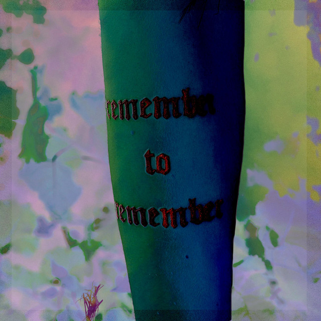 Remember to Remember cover art