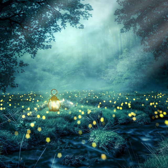 Forest Glow cover art