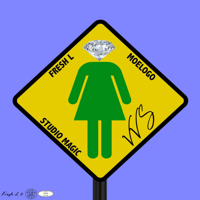 VVS cover art