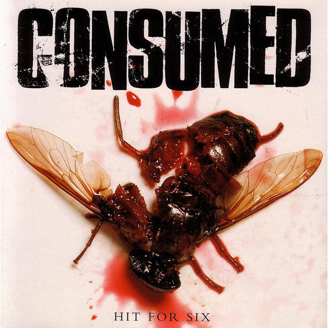 Hit For Six cover art