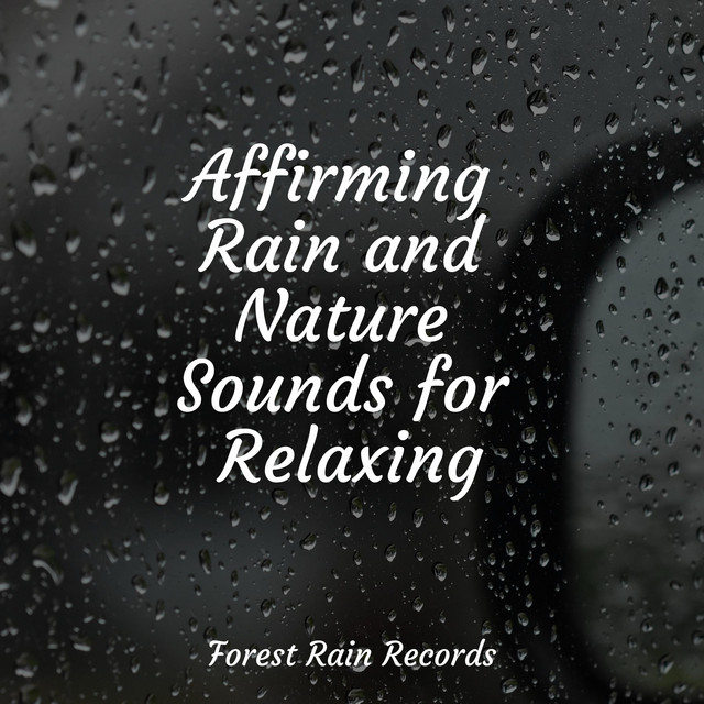 The Soaking of the Roots Below cover art