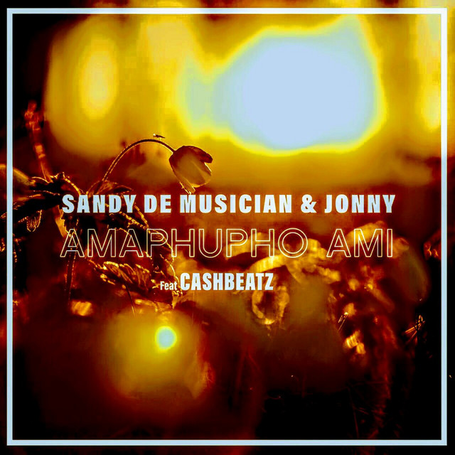 Sandy De Musician