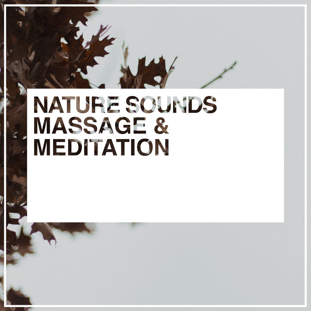 Nature Sounds Massage & Meditation - Album by Massage | Spotify