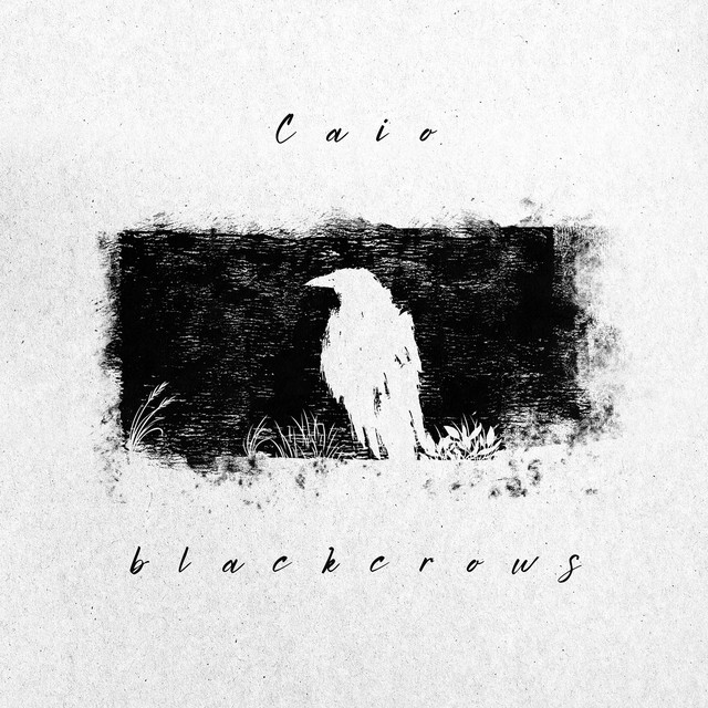 Blackcrows cover art