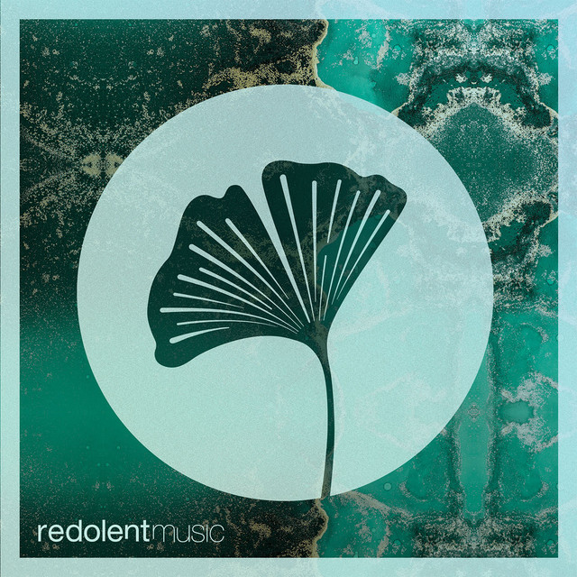 Le Lo Le - Extended Mix album art