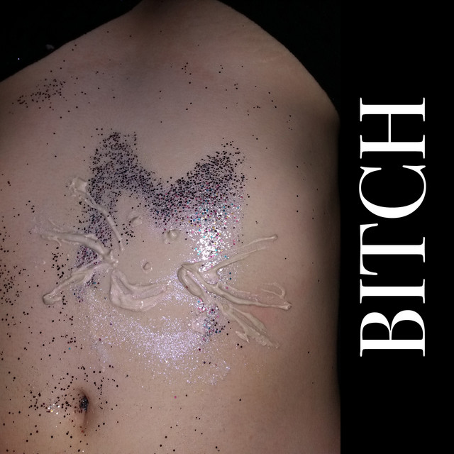 Bitch cover