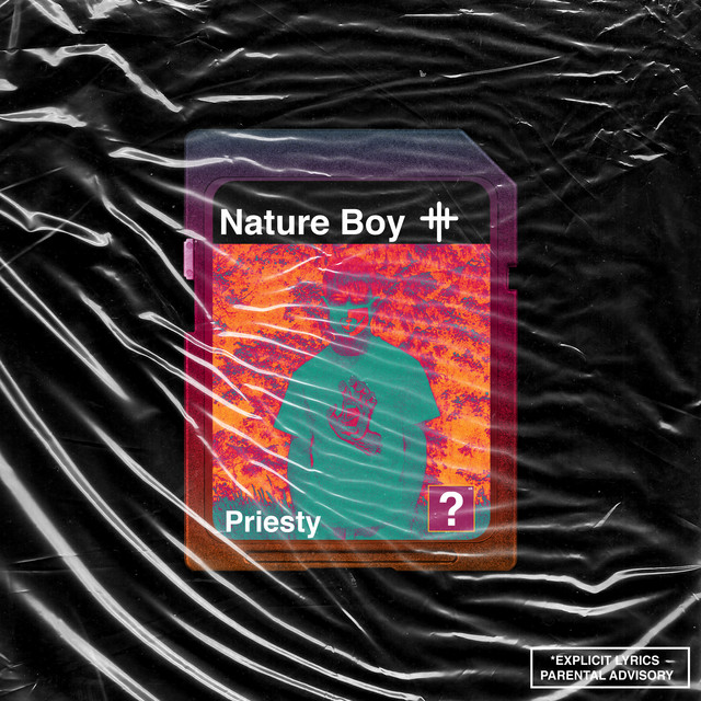 Nature Boy cover art