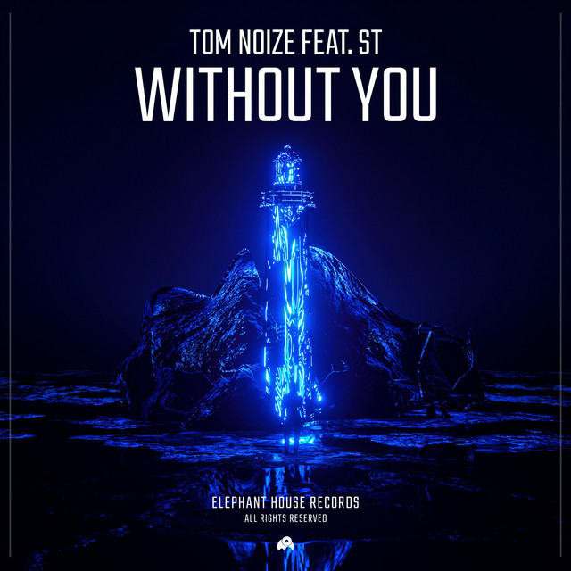 Without You (feat. ST) - Radio Edit