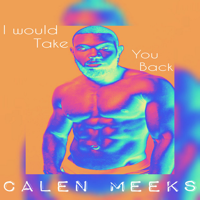 I Would Take You Back - song and lyrics by Calen Meeks | Spotify