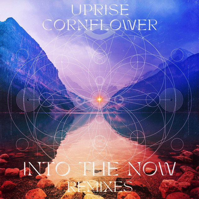 Into the Now (DnB Remix) cover