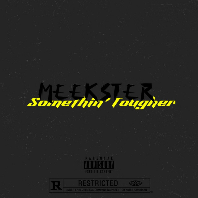 Lame Niggas (Slight Diss) cover art