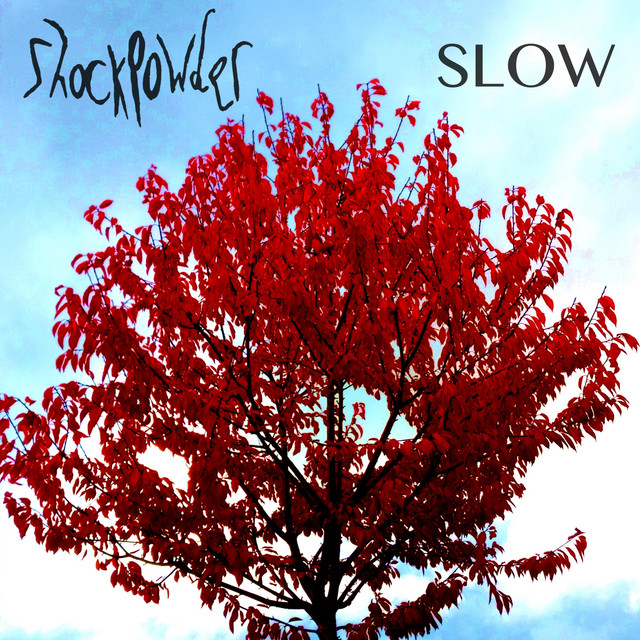 Slow (single)