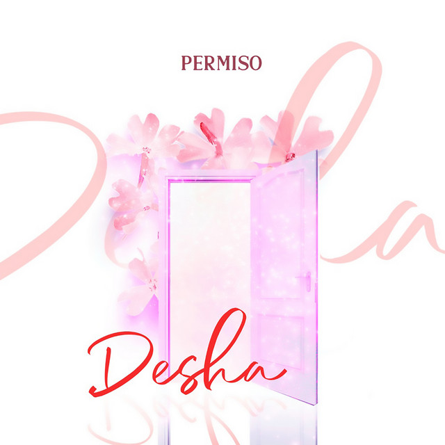 Permiso cover art