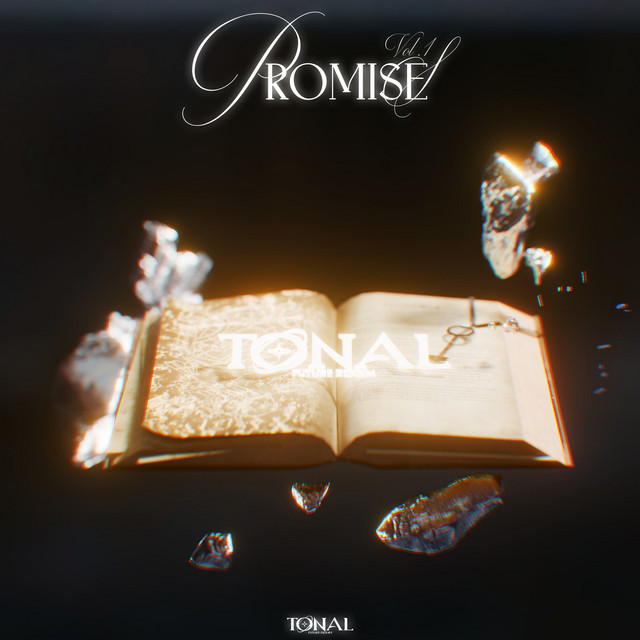 Promises, Vol. 1 cover art