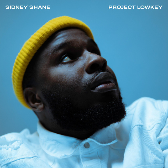 Project Lowkey cover art