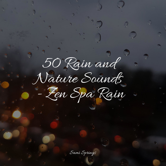 50 Rain and Nature Sounds - Zen Spa Rain - Album by Nature's Symphony ...