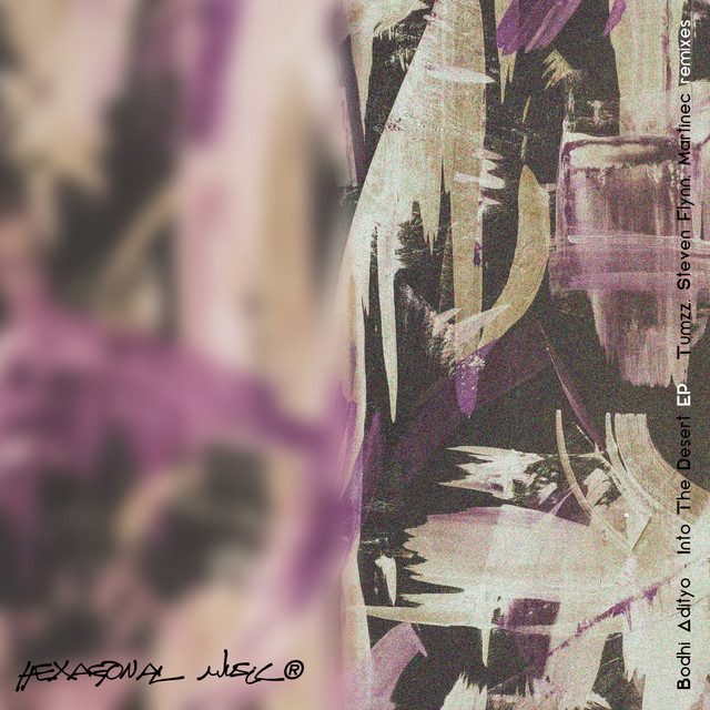 Into the Desert cover art