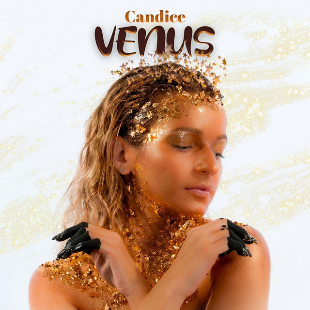 Changer cover art